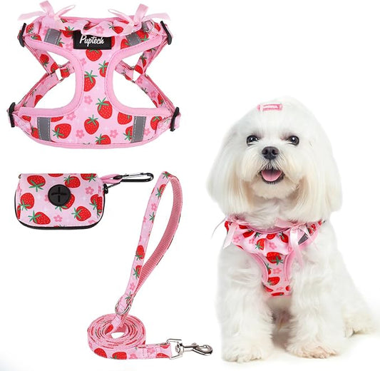 PUPTECK No Pull Dog Harness and Leash Set Reflective No Choke Step in Puppy Halter for XS Small and Medium Sized Dogs, Pink, Printed Fabric, S