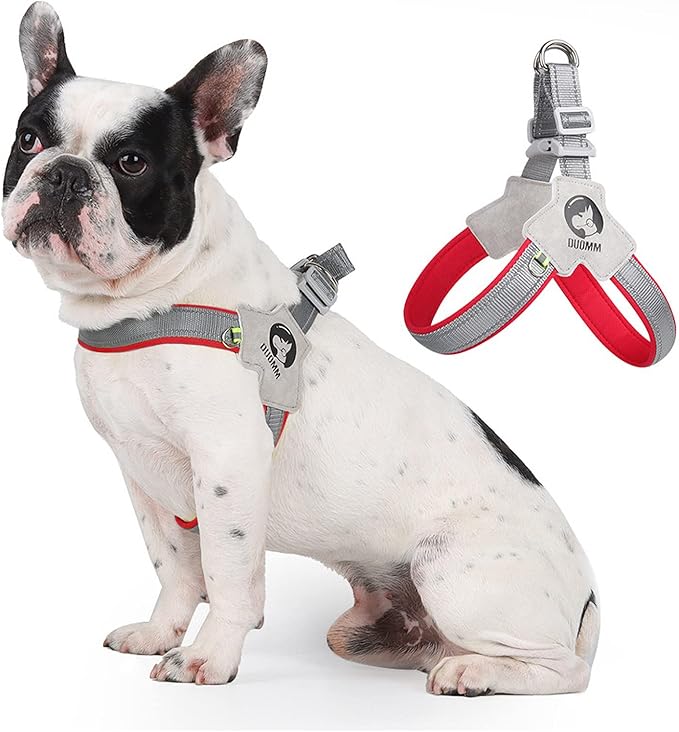Dog Harness Y-Shaped Harness Breathable Heat Dissipation Easy to Wear Night Reflective Signs for Small and Large Dogs to Wear (Red,XL Bust 24in-28in)