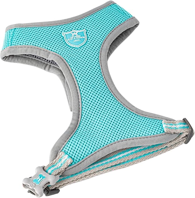 HUGO & HUDSON Dog Harness No-Pull Pet Harness Adjustable Quick Dry Mesh Padded Vest, Aqua, L
