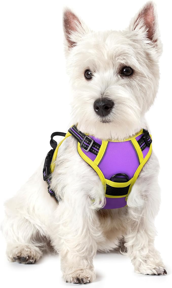 rabbitgoo Dog Harness, No-Pull Pet Harness with 2 Leash Clips, Adjustable Soft Padded Dog Vest, Reflective No-Choke Pet Oxford Vest with Easy Control Handle for Large Dogs, Purple & Yellow, XS