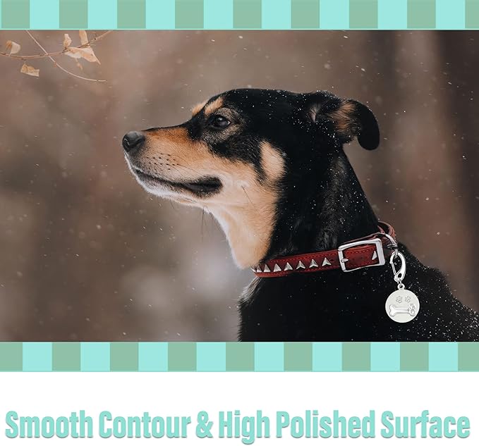 Divoti Leash King Pet Tag Quick Clip/Sping-Load Hook Combo for Pet ID Tags - 2 Large