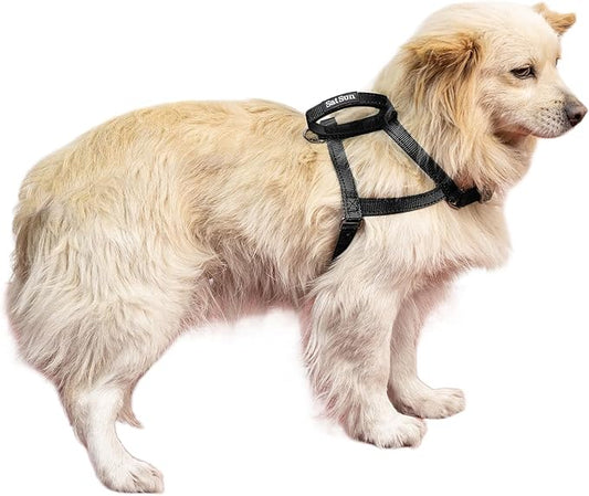 SATSUN Dog Harness Small Sized Dog, No Pull Dog Harness with 2 Adjustable Points & 1 Leash Clip, Reflective Comfortable Dog Vest with Easy Control Handle Ideal for Walking and Training, Black,XS