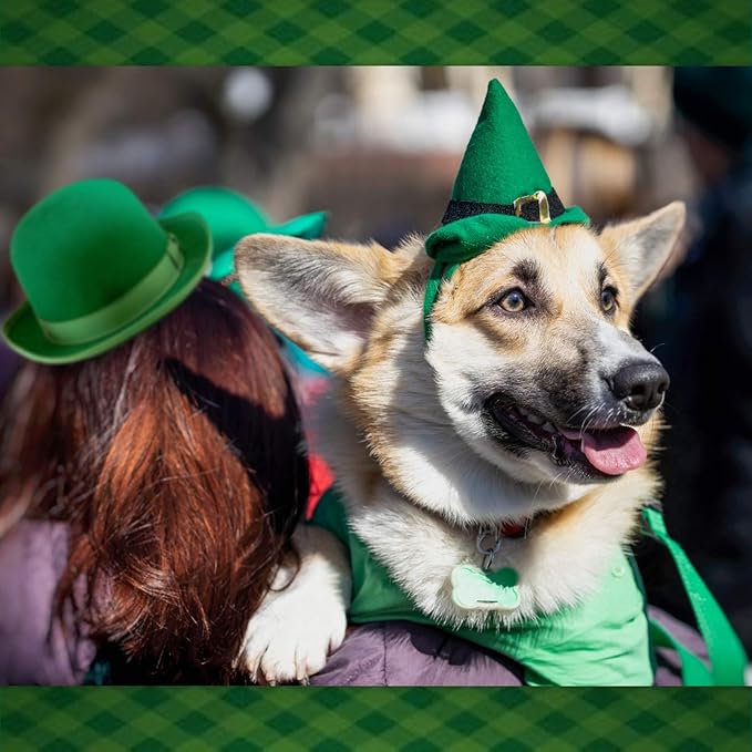 NAMSAN St Patrick's Day Pet Costume for Cats Small Dogs Rabbits, Irish Leprechaun Top Hat with Adjustable Tie, Lucky Cat Outfit Green Fedora Hat, Small