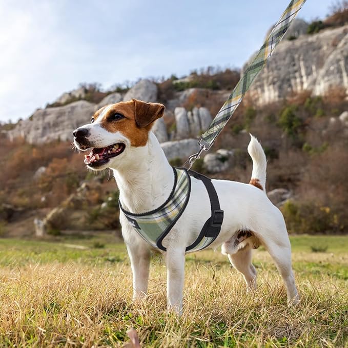 PUPTECK Soft Mesh Dog Harness and Leash Set Pet Puppy Cat Comfort Padded Vest No Pull Harnesses, Green/Yellow, XS