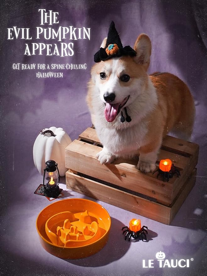 LE TAUCI Dog Bowls Slow Feeder Ceramic, 3 Cups Slow Feeding Dog Bowl Small Medium Breed, Puppy Slow Feeder Bowl for Fast Eater, Dog Dishes to Slow Down Eating, Puzzle Dog Food Bowl, Pumpkin Orange