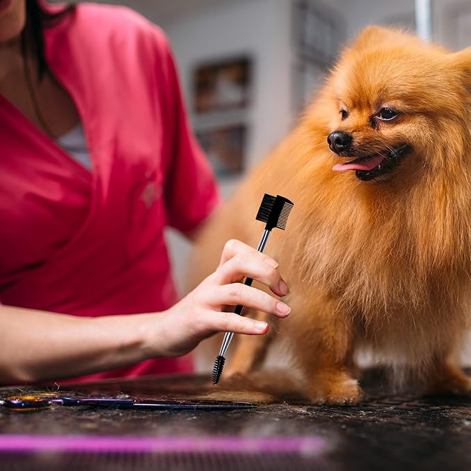 BLMHTWO Dog Grooming Comb Set: Double-Head Facial Brush and Tear Stain Removal Tool for Small Pets (Black)