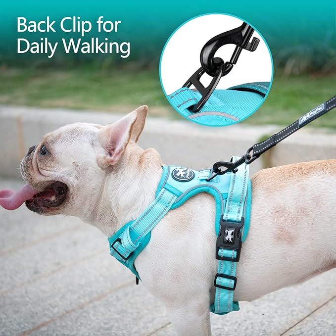 PoyPet No Pull Dog Harness, No Choke Reflective Dog Vest, Adjustable Pet Harnesses with Easy Control Padded Handle for Small Medium Large Dogs(Mint Blue Matching Trim,L)