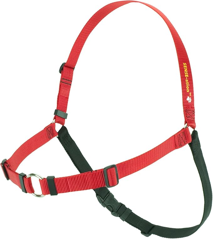 Softouch Sense-ation No-Pull Dog Harness (Red, Extra Large)