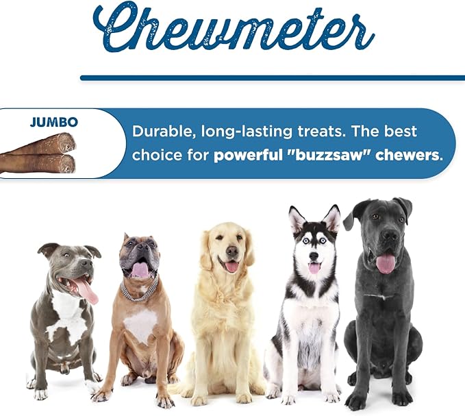 Best Bully Sticks 12 Inch Jumbo Bully Sticks for Large Dogs - 100% Natural, Grass-Fed Beef - Single Ingredient Grain and Rawhide Free Bully Stick Dog Chews | 8 Pack