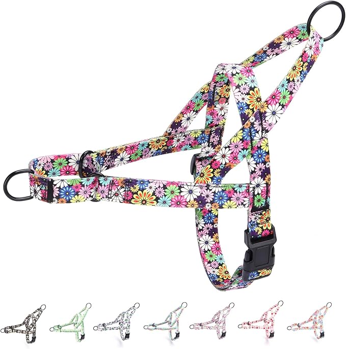No Pull Dog Harness for Small, Medium, and Large Pets - Floral Pattern Nylon Safety Training Dog Harness (XS, Fireworks)
