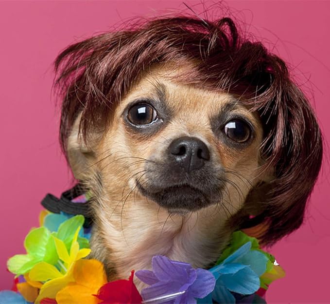 Pet Costume Dog Wig, Dog Clothes with Collar & Tie Head Wear Apparel Toy for Halloween, Christmas, Parties, Festivals (Dark Brown)