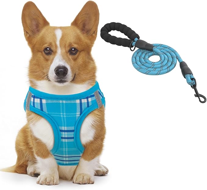 Athena Collection Step-in Dog Harness with 5 ft Leash, Small to Medium Dog Harness Leash Set Medium No Pull Dog Vest Harness with Reflective Strips Adjustable Velcro, Easy Walk Puppy Harness, Blue