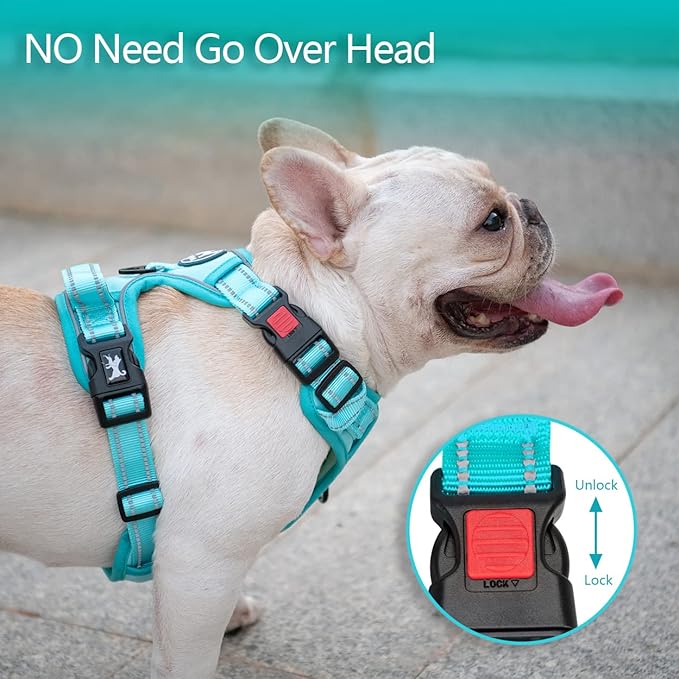 PoyPet No Pull Dog Harness, No Choke Reflective Dog Vest, Adjustable Pet Harnesses with Easy Control Padded Handle for Small Medium Large Dogs(Mint Blue Matching Trim,M)