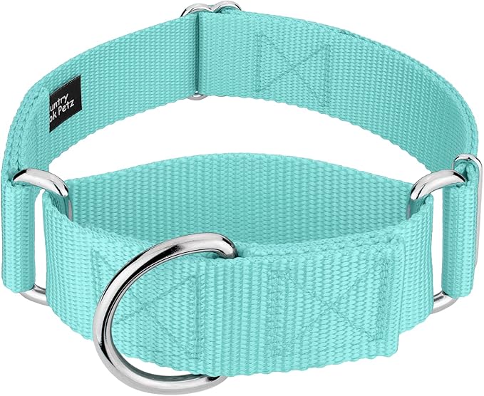 Country Brook Petz 1 1/2 Inch Martingale Heavy Duty Nylon Adjustable Dog Collar for Small, Medium, Large Breeds - Vibrant 17 Color Selection (Light Cyan, Extra Large)