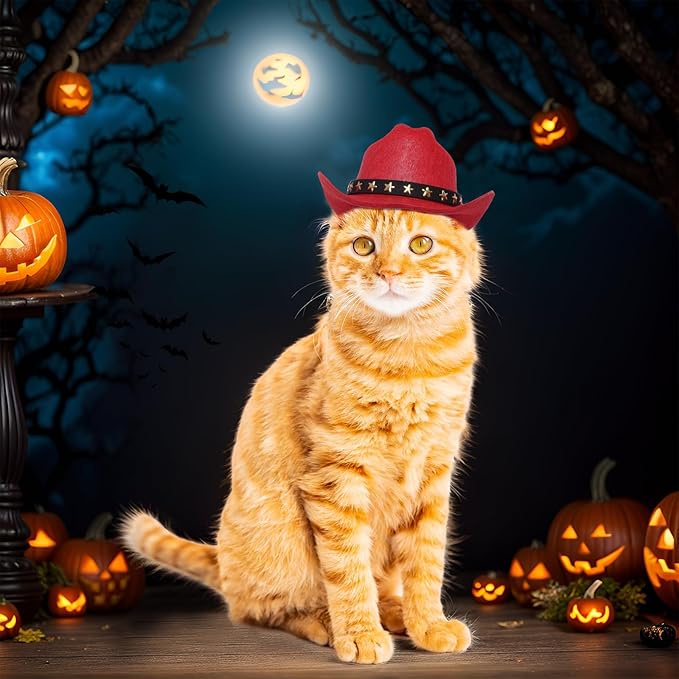 choyaxo Pet Cowboy Costume Cosplay Cap Halloween Costumes for Dogs Cat Pet Party Decoration Mini Cowboy Hat (Red, Small)