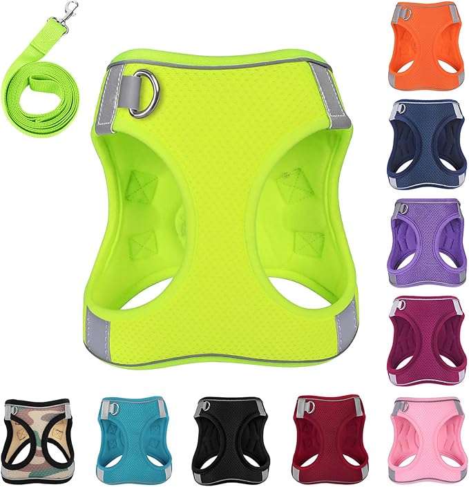 Dog Harness with Leash Set, No-Pull Step-in Reflective Pet Harness with 1 Leash Clips, Adjustable Soft Padded Easy Walk Dog Vest for Small Medium Large Dogs, Cats(Fluorescent, XSmall)