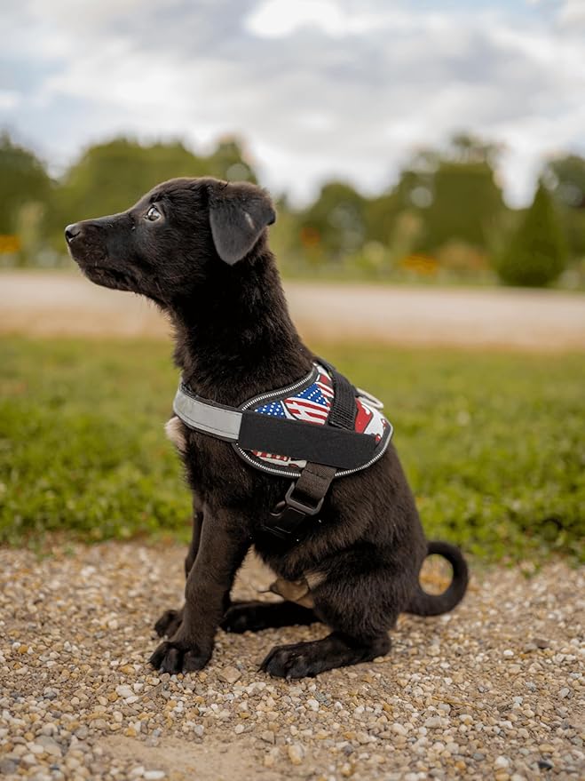 Non Pull Dog Harness with Patch Panels and Handle, Adjustable, Reflective, No Choke, Heavy Duty Easy On Service Dog Vest Harnesses for Medium Large Small Sized Dogs - Military Desert, XL