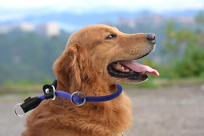Braided Rope Collar, Training Dog Collar, Round Martingale Collar, Slip Collar with Adjustable Stopper and Slidable Stop Ring - Ideal for Large Dogs (L(1/2") - 20" Long, Purple)