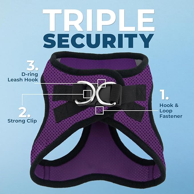 Voyager Step-in Air Dog Harness - All Weather Mesh, Reflective, No Pull Harness for Small, Medium Dogs, Cats - Secure with Hook & Loop Fastener, Buckle, Double D-Rings - Purple/Black Trim, M