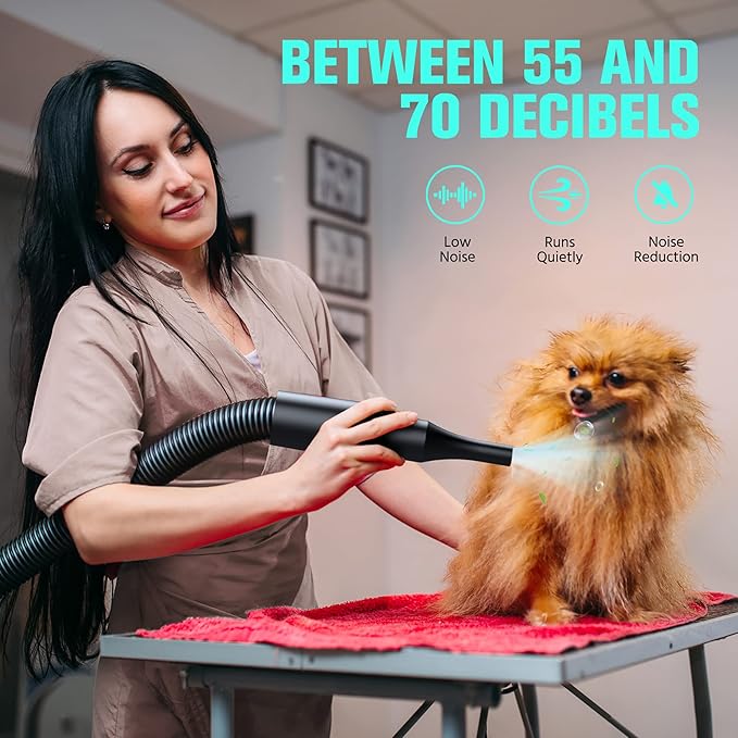 Pet Dryer, 5.2HP/3800W Pet Grooming Dryer with Adjustable Speed and Temperature Control Dog Blow Dryer, Pet Hair Dryer with 3 Nozzle
