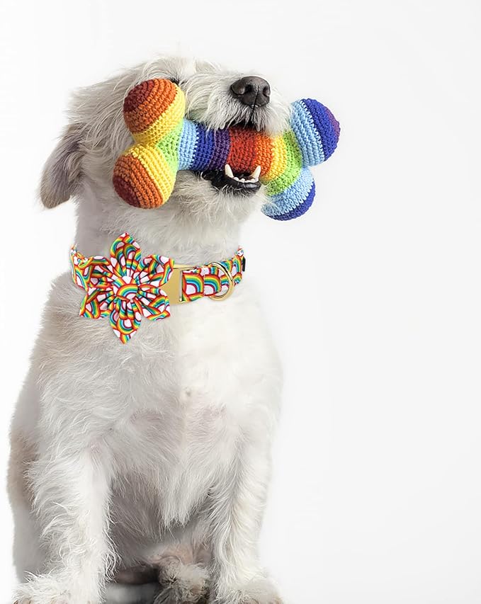 Lionet Paws Rainbow Female Dog Collar with Flower, Soft and Comfortable Adjustable LGBT Pride Collar for Puppies and Cats, XS, Neck 8-12 inches