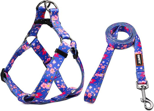 QQPETS Dog Harness Leash Set Adjustable Heavy Duty No Pull Halter Harnesses for Small Medium Large Breed Dogs Back Clip Anti-Twist Perfect for Walking (XS(12"-18" Chest Girth), Cornflower Blue)