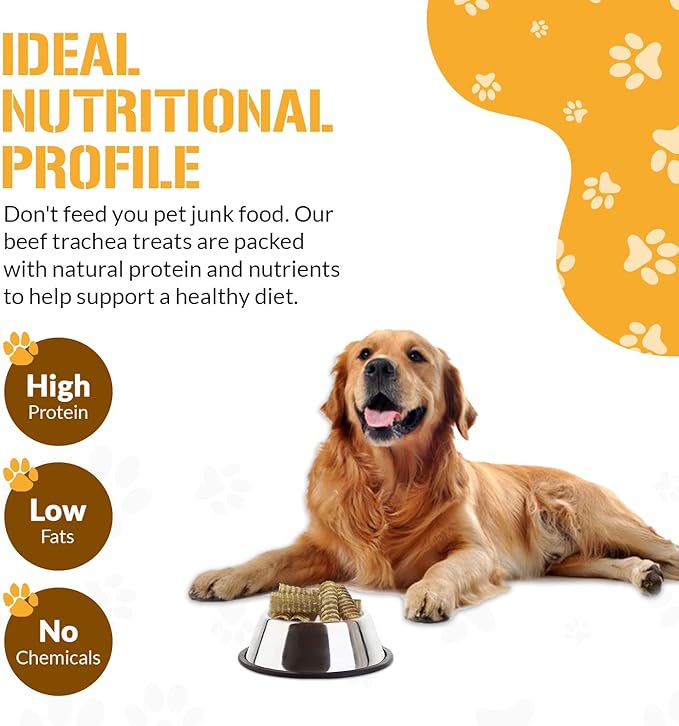 Beef Trachea for Dogs - Dog and Puppy Chews | Amazing for Joints | Made in USA | 1 Pound | All-Natural Treats | Large and Small Dogs | Nothing Added