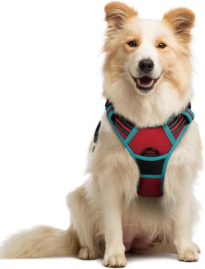 rabbitgoo Dog Harness, No-Pull Pet Harness with 2 Leash Clips, Adjustable Soft Padded Dog Vest, Reflective No-Choke Pet Oxford Vest with Easy Control Handle for Large Dogs, Red & Teal, M