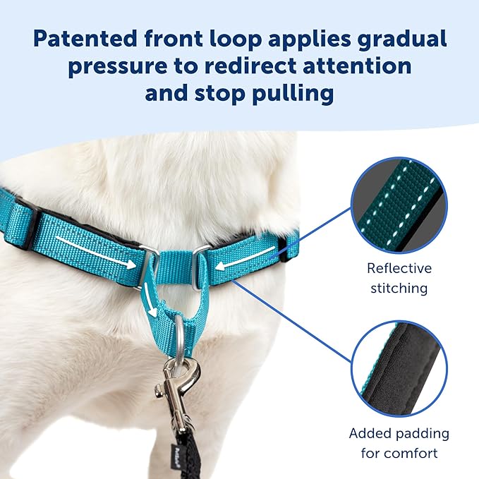 PetSafe Easy Walk Deluxe Dog Harness, No Pull Dog Harness – Perfect for Leash & Harness Training – Stops Pets from Pulling and Choking on Walks – Medium, Apple