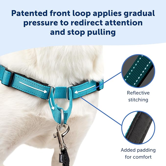 PetSafe Easy Walk Deluxe Dog Harness, No Pull Dog Harness – Perfect for Leash & Harness Training – Stops Pets from Pulling and Choking on Walks – Medium, Rose