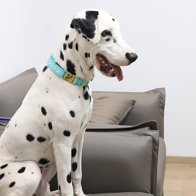 Lionet Paws Boy Dog Collar, Comfortable Adjustable Cute Yellow Starfish Collar with Metal Buckle for Male Puppies and Cats Gift, XS, Neck 8-12 inches