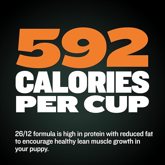 Bully Max Wet Dog Food - Instant Fresh Dehydrated High Protein Soft Puppy & Adult Dog Food with Chicken - Healthy Muscle Growth for Small & Large Breeds - 20 Dry Pounds (Makes 55 lbs. of Wet Food)