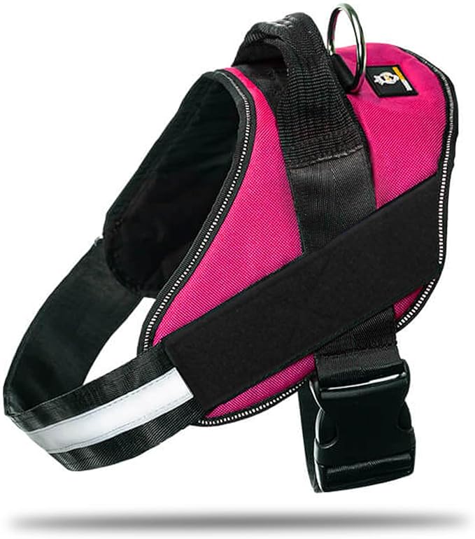 Non Pull Dog Harness with Patch Panels and Handle, Adjustable, Reflective, No Choke, Heavy Duty Easy On Service Dog Vest Harnesses for Medium Large Small Sized Dogs - Rose Red, 2XL
