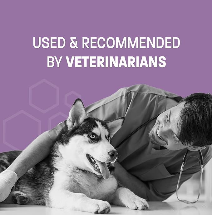 Tearless Dog Shampoo & Puppy Conditioner - Gentle Puppy Shampoo and Conditioner for Puppies and Kittens - Tearless Dog Shampoo and Conditioner for Puppies - Fruity Scent - 16 oz