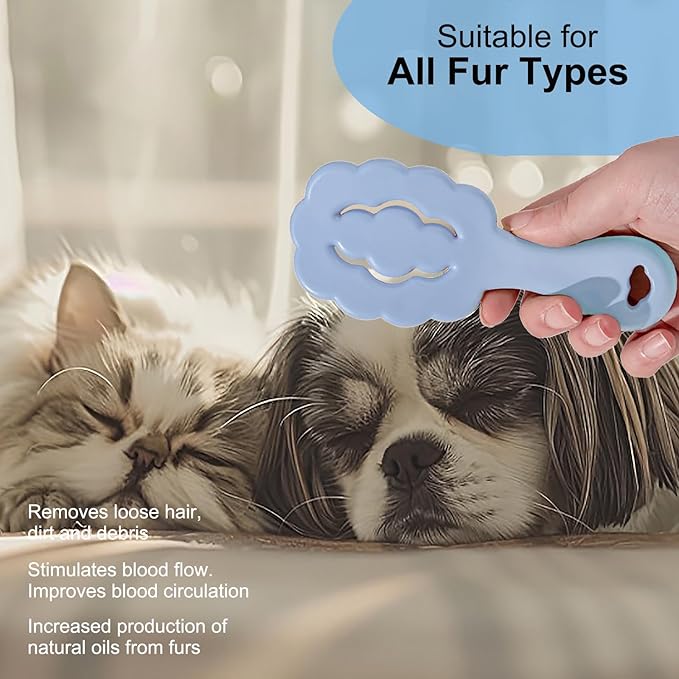 Cloud Shape Small Dog Grooming Brush - Soft Bristle Brush for Gentle Detangling & Massage - Ideal for Maltese, Shih Tzus, Yorkies, and Puppies - Portable & Durable Design, Blue