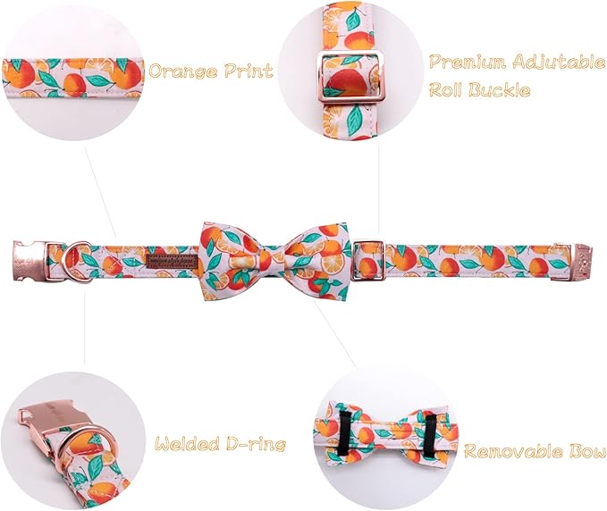 Unique style paws Dog Collar, Girl or Boy Dog Bow Tie, Bowtie Dog Collar Pet Collar for Small Memium Large Dogs