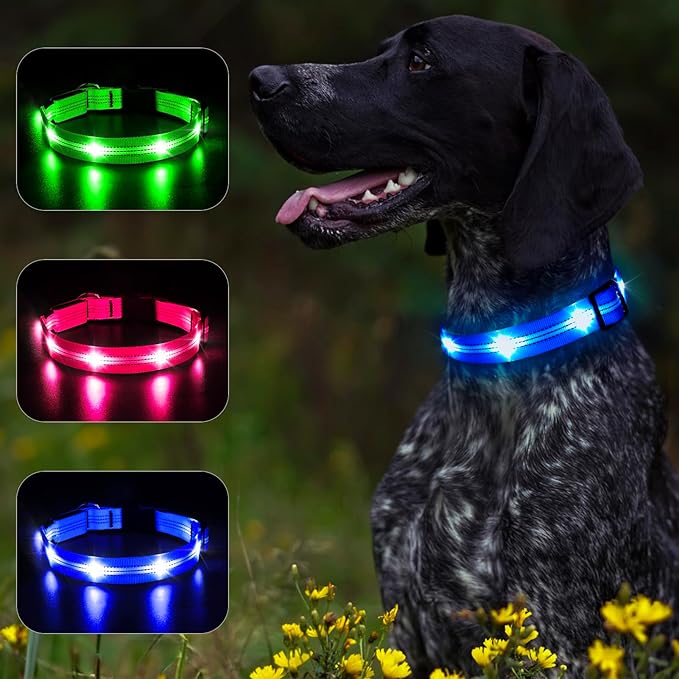 Light Up Dog Collar - BSEEN LED Dog Collar Rechargeable Lighted Dog Collar Reflective Glow Collars for Dogs, Super Bright Dog Lights for Night Walking (Blue-II, Large)