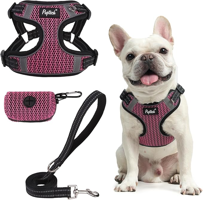 PUPTECK No Pull Dog Harness and Leash Set Reflective No Choke Step in Puppy Halter for XS Small and Medium Sized Dogs, HotPink, Breathable Mesh, L