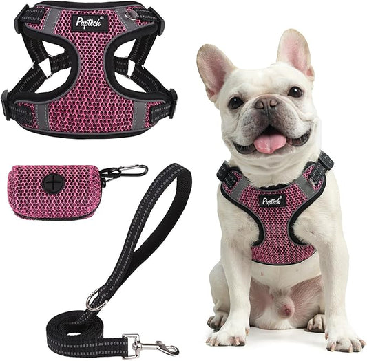 PUPTECK No Pull Dog Harness and Leash Set Reflective No Choke Step in Puppy Halter for XS Small and Medium Sized Dogs, HotPink, Breathable Mesh, L