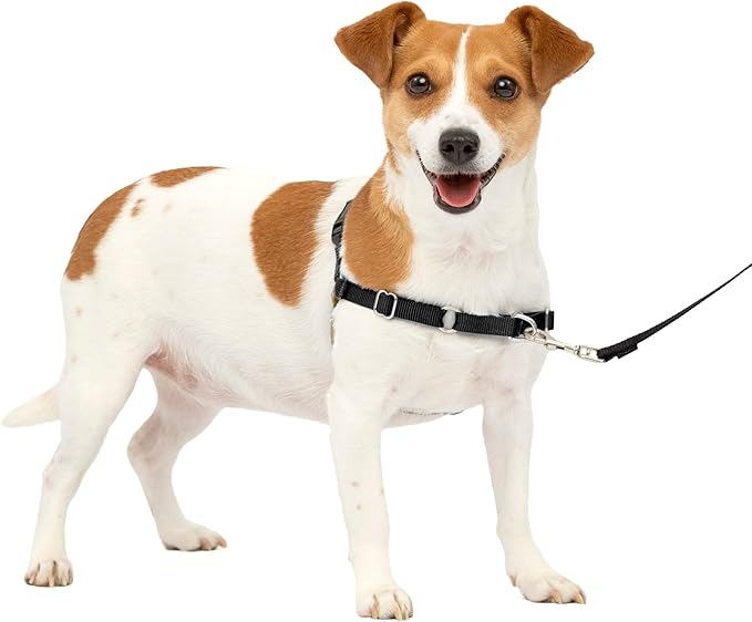PetSafe Easy Walk No-Pull Dog Harness - The Ultimate Harness to Help Stop Pulling - Take Control & Teach Better Leash Manners - Helps Prevent Pets Pulling on Walks, Small, Black/Silver
