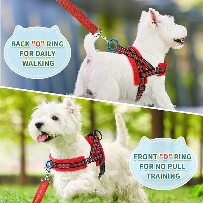 SlowTon No Pull Small Dog Harness and Leash Set, Puppy Soft Vest Harness Neck & Chest Adjustable, Reflective Lightweight Harness & Anti-Twist Pet Lead Combo for Small Medium Dogs (R-Front Clip,XXS)