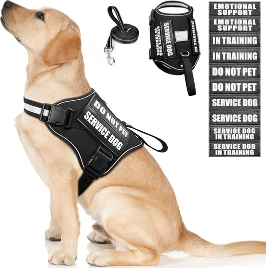 WINSEE Service Dog Harness & Leash Set, Large, Black with 10 Patches, Reflective, Adjustable, for Medium & Large Dogs
