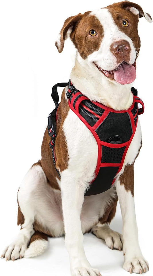 rabbitgoo Dog Harness, No-Pull Pet Harness with 2 Leash Clips, Adjustable Soft Padded Dog Vest, Reflective No-Choke Pet Oxford Vest with Easy Control Handle for Large Dogs, Black & Red, L