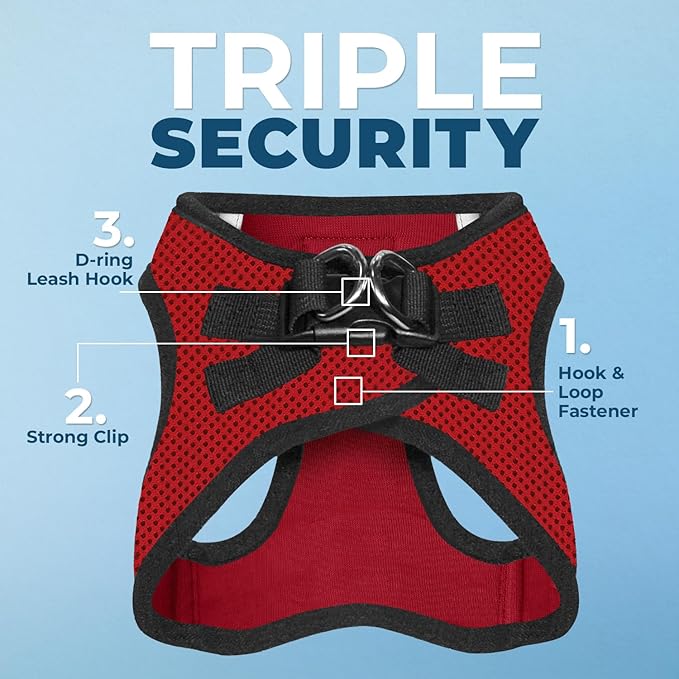 Voyager Step-In Air Dog Harness - All Weather Mesh, Reflective, No Pull Harness for Small, Medium Dogs, Cats - Secure with Hook & Loop Fastener, Buckle, Double D-Rings - Red/Black Trim, XXS