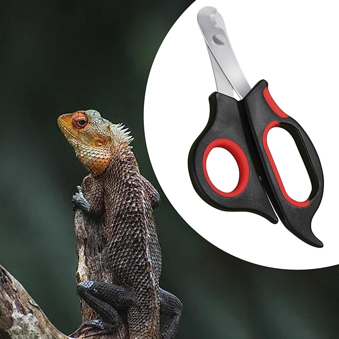 Bearded Dragon Nail Clippers,Stainless Steel Bearded Dragon Toe Nail Clippers with Precise Angled Edges (Reddish Black)