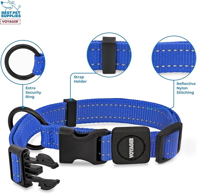 Best Pet Supplies Reflective Dog Collar with Adjustable Length, Heavy-Duty Buckle, and Strong Leash D-Ring, Training, Walking, Jogging Accessory for Small, Medium, and Large Breeds - Royal Blue, L