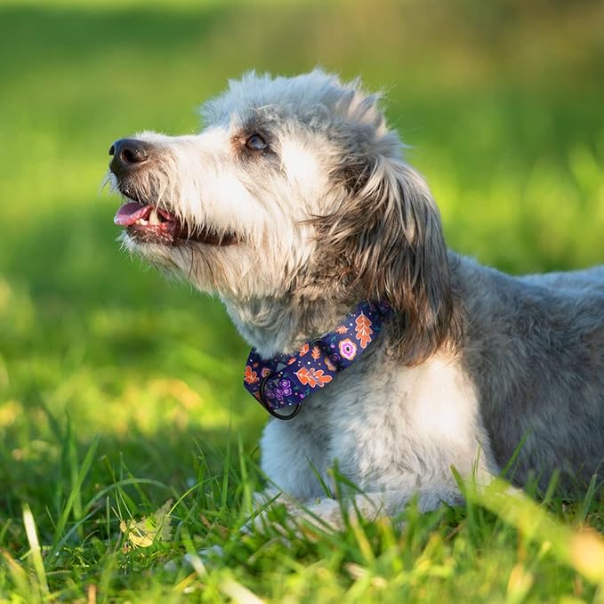 CollarDirect Martingale Collars for Dogs Heavy Duty Floral Pattern Female Safety Nylon Training Wide Collar Flower Design Large Medium (L, Neck Size 15"-20", Navy Blue)