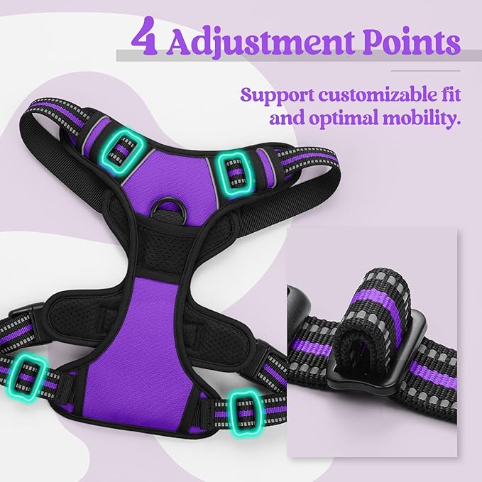 rabbitgoo Dog Harness, No-Pull Pet Harness with 2 Leash Clips, Adjustable Soft Padded Dog Vest, Reflective No-Choke Pet Oxford Vest with Easy Control Handle for Large Dogs, Purple, XL