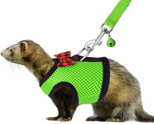 Rypet Small Animal Harness and Leash - Soft Mesh Small Pet Harness with Safe Bell, No Pull Comfort Padded Vest for Small Pet Green S