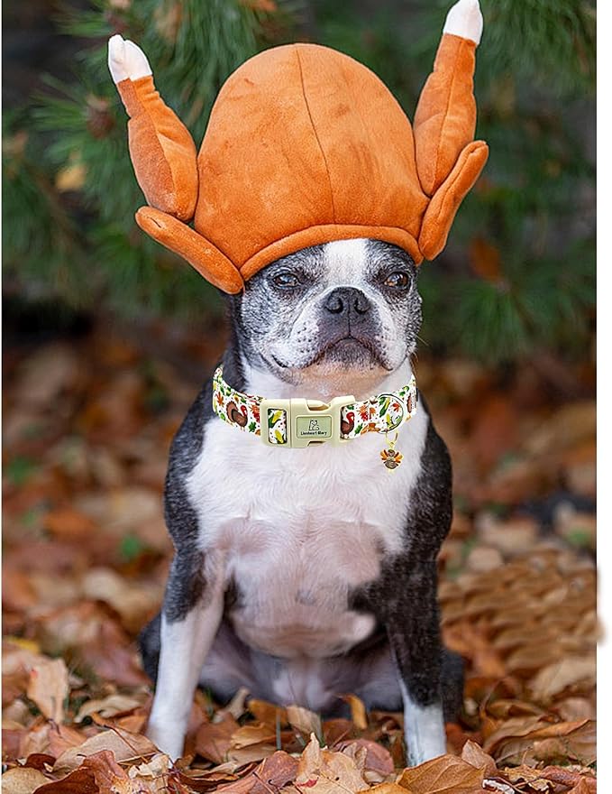 Lionheart glory Turkey Dog Collar, Thanksgining Day Dogs Collar Adjustable Soft Comfortable Collars for Large Dogs Girl or Boy Pet Gift Fall Cute Collar Quick Release Plastic Buckle